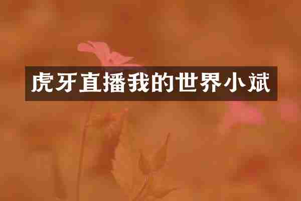 虎牙直播我的世界小斌