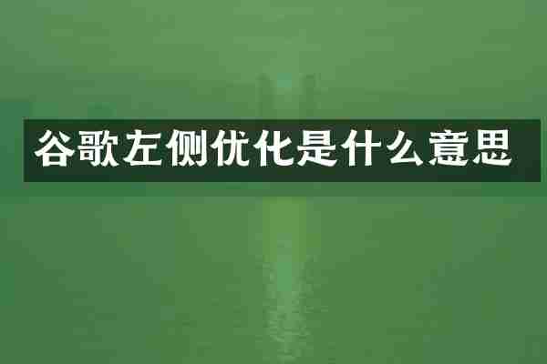 谷歌左侧优化是什么意思