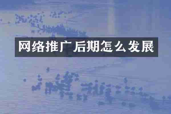 网络推广后期怎么发展