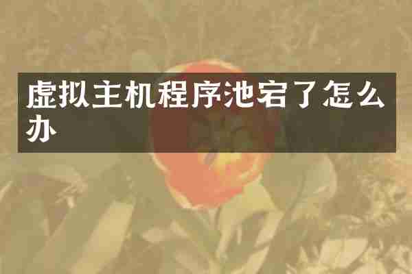 虚拟主机程序池宕了怎么办