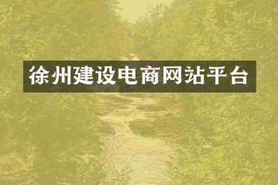 徐州建设电商网站平台