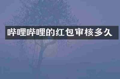 哔哩哔哩的红包审核多久