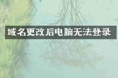域名更改后电脑无法登录