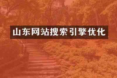 山东网站搜索引擎优化