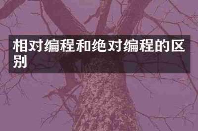 相对编程和绝对编程的区别