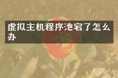 虚拟主机程序池宕了怎么办