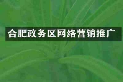 合肥政务区网络营销推广