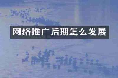 网络推广后期怎么发展