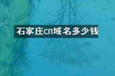 石家庄cn域名多少钱
