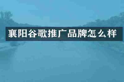 襄阳谷歌推广品牌怎么样