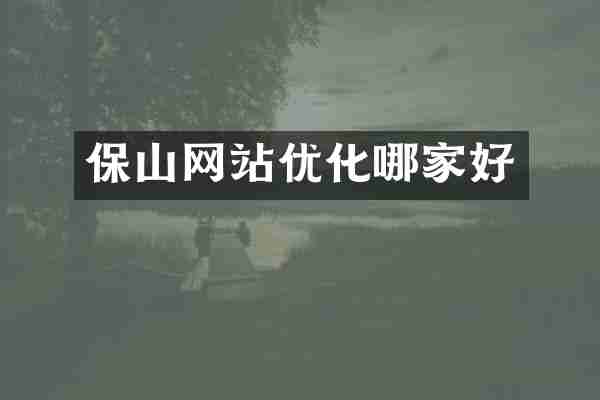 保山网站优化哪家好
