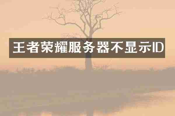 王者荣耀服务器不显示ID