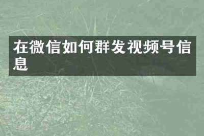 在微信如何群发视频号信息