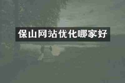 保山网站优化哪家好