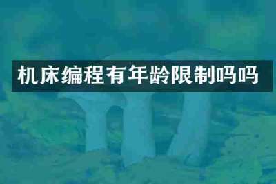 机床编程有年龄限制吗吗