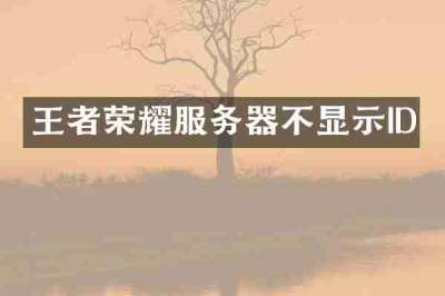 王者荣耀服务器不显示ID