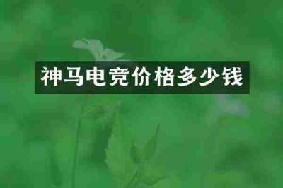 神马电竞价格多少钱