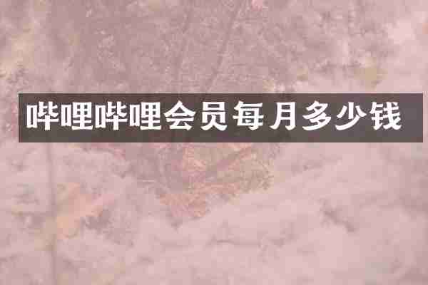 哔哩哔哩会员每月多少钱