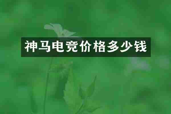 神马电竞价格多少钱