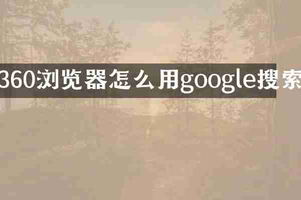 360浏览器怎么用google搜索