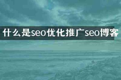 什么是seo优化推广seo博客