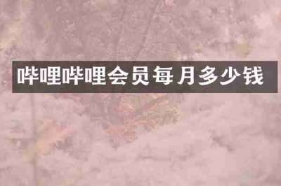 哔哩哔哩会员每月多少钱