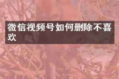 微信视频号如何删除不喜欢