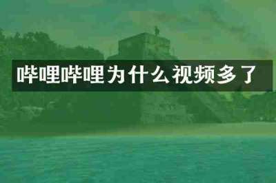 哔哩哔哩为什么视频多了