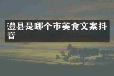 澧县是哪个市美食文案抖音