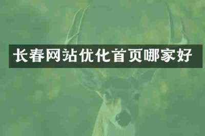 长春网站优化首页哪家好