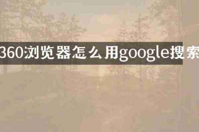 360浏览器怎么用google搜索