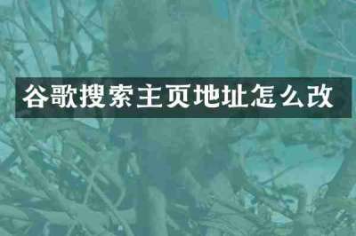 谷歌搜索主页地址怎么改