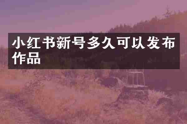 小红书新号多久可以发布作品
