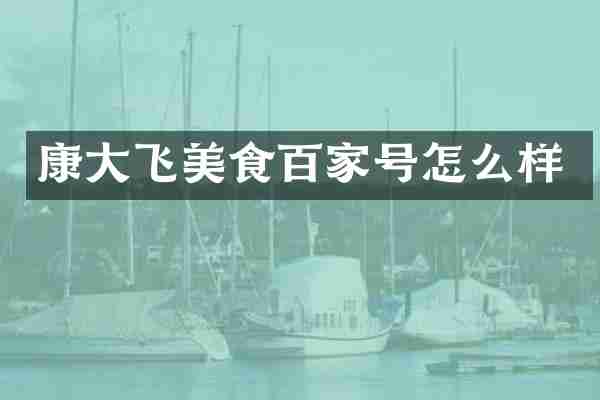 康大飞美食百家号怎么样