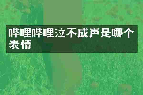 哔哩哔哩泣不成声是哪个表情