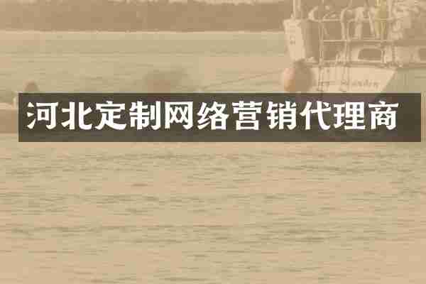 河北定制网络营销代理商