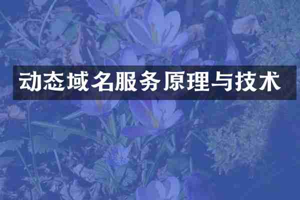 动态域名服务原理与技术