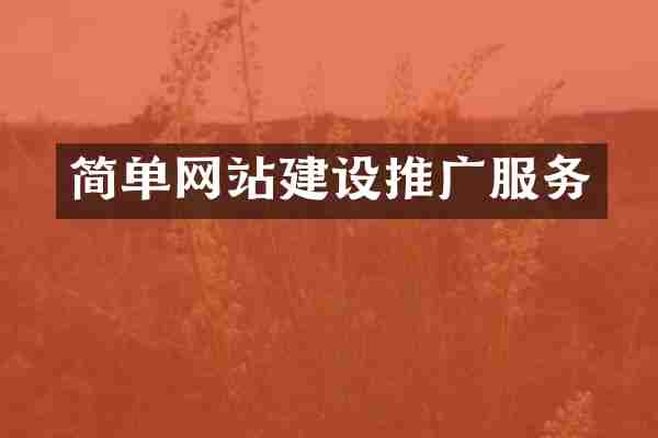 简单网站建设推广服务