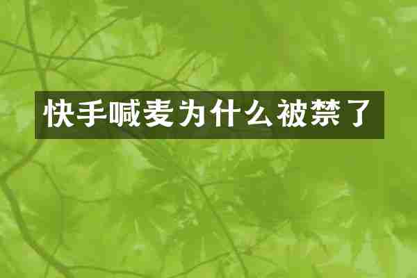 快手喊麦为什么被禁了