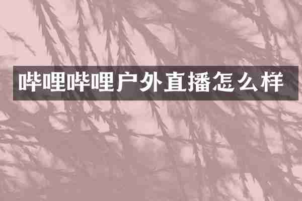 哔哩哔哩户外直播怎么样