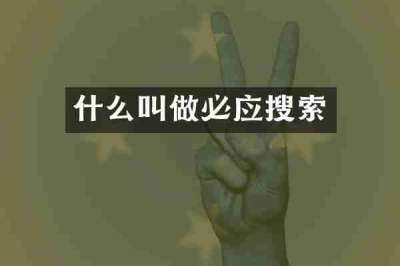什么叫做必应搜索