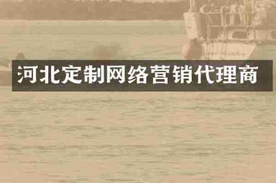 河北定制网络营销代理商