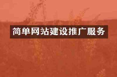 简单网站建设推广服务