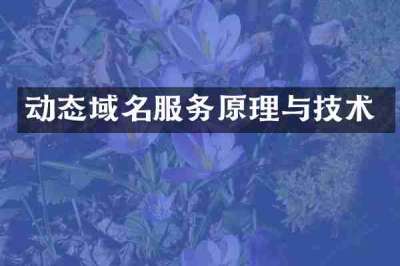 动态域名服务原理与技术