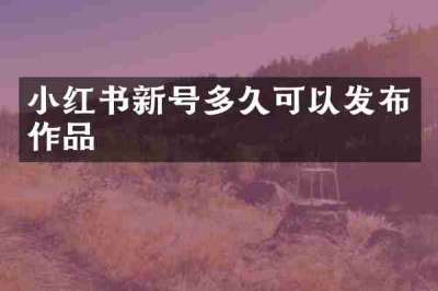 小红书新号多久可以发布作品