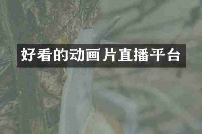 好看的动画片直播平台