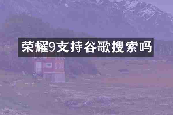 荣耀9支持谷歌搜索吗