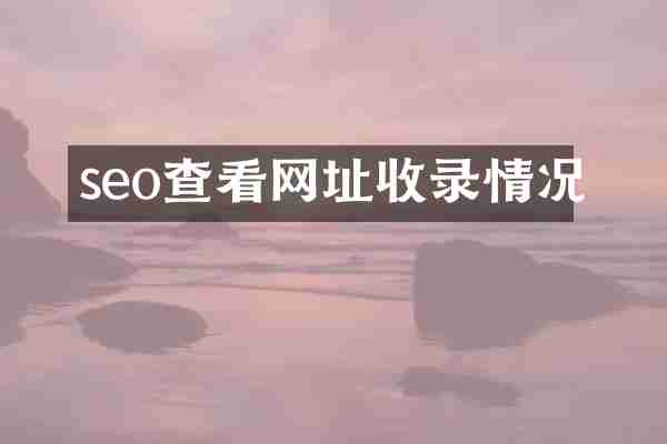 seo查看网址收录情况