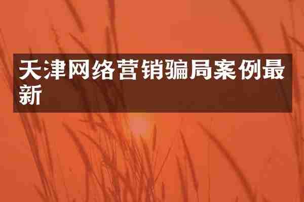 天津网络营销骗局案例最新