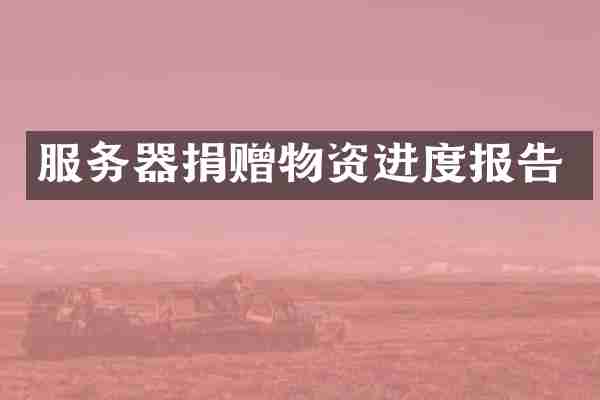 服务器捐赠物资进度报告